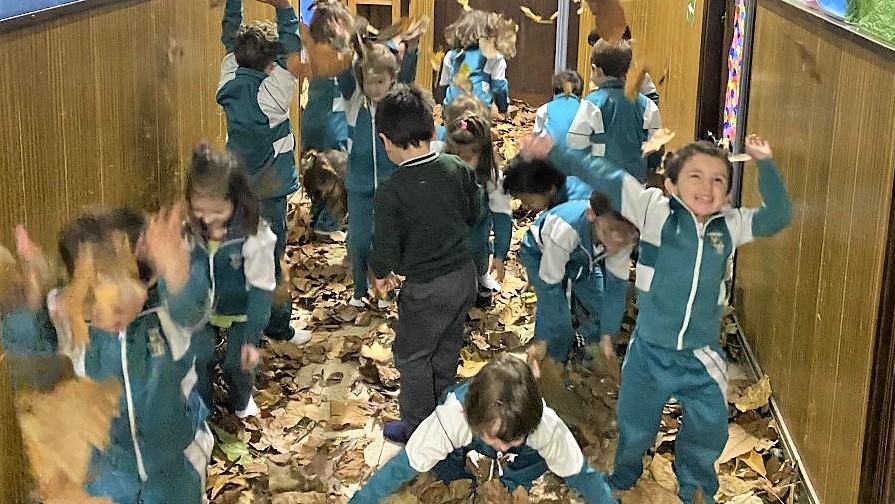 Calcomanías De Camino Sensorial Para El Suelo Y La Pared | 173 Pegatinas Educativas E Interactivas Para Niños | Camino Sensorial | Calcomanías De Estimulación Sensorial | Pegatinas Para El Aula